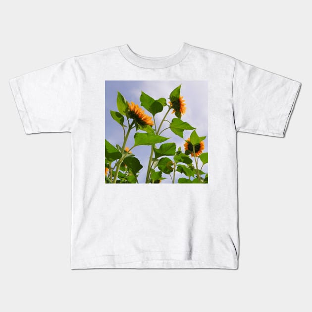 Sunflowers in the Field Kids T-Shirt by DesignMore21